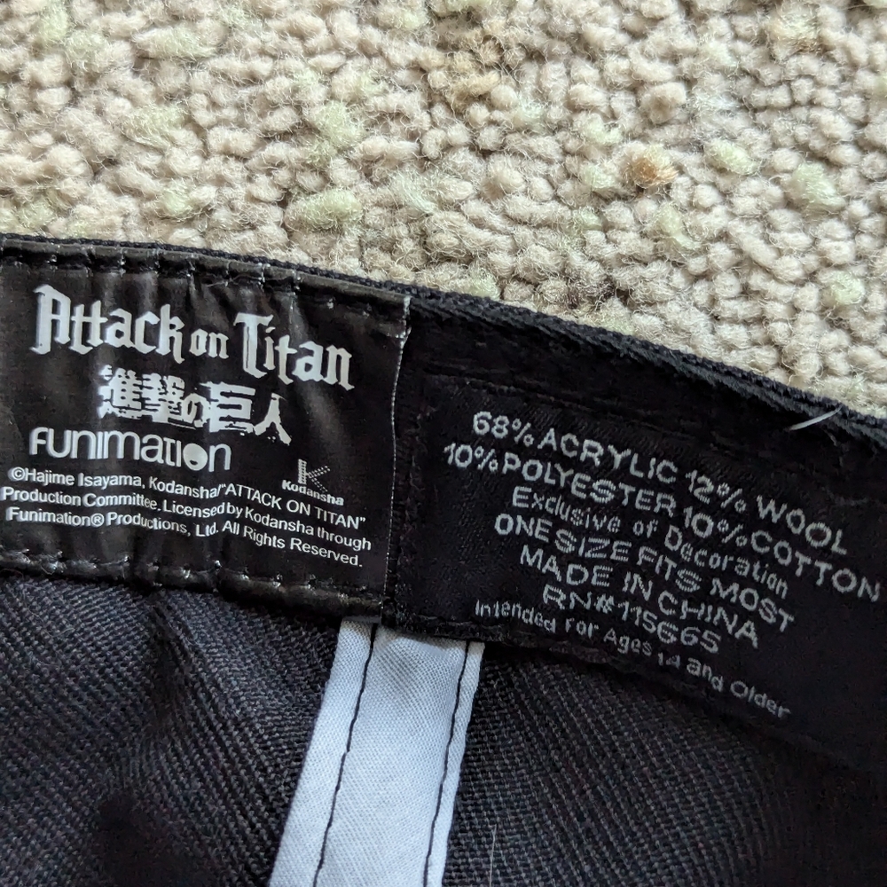 Attack On Titan Cap - image 3